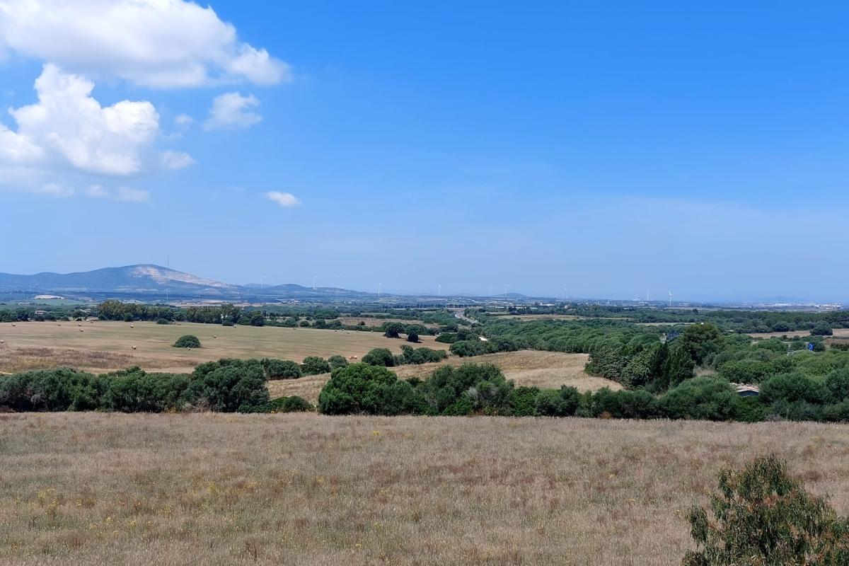 Sassari Loc. Pian de Sorres  podere con fabbricati e oltre 6 ettari di terreno coltivato