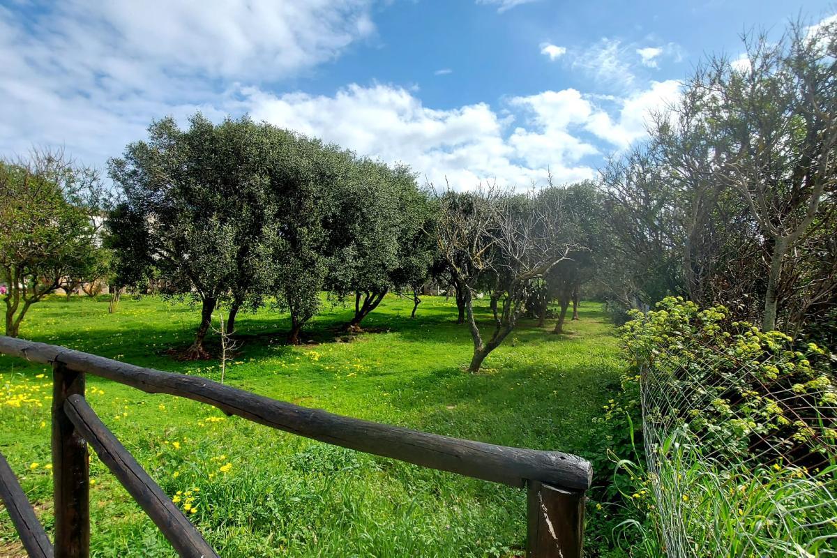 Porto Torres – Via Pertini - Trilocale con balcone vista parco, posto auto e cantina