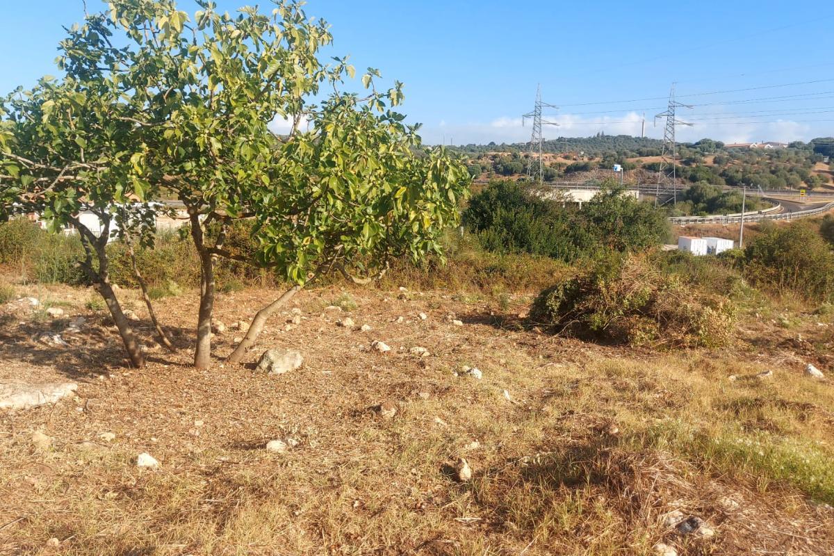 Sassari Terreno con fabbricato rurale in vendita – Sassari, Loc. Caniga, Strada Vicinale Tropuilde Sassari Terreno con fabbricato rurale in vendita – Sassari, Loc. Caniga, Strada Vicinale Tropuilde