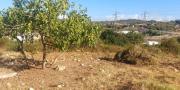 Sassari Terreno con fabbricato rurale in vendita – Sassari, Loc. Caniga, Strada Vicinale Tropuilde