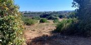 Sassari Terreno con fabbricato rurale in vendita – Sassari, Loc. Caniga, Strada Vicinale Tropuilde