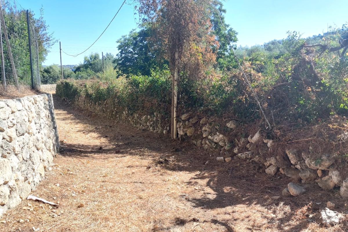 Sassari Terreno con fabbricato rurale in vendita – Sassari, Loc. Caniga, Strada Vicinale Tropuilde Sassari Terreno con fabbricato rurale in vendita – Sassari, Loc. Caniga, Strada Vicinale Tropuilde