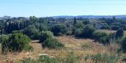 Sassari Terreno con fabbricato rurale in vendita – Sassari, Loc. Caniga, Strada Vicinale Tropuilde