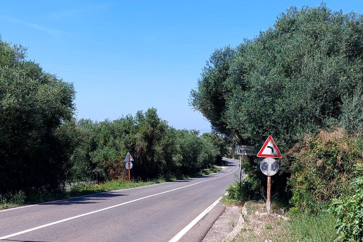 Sassari La Landrigga oliveto con casa rurale