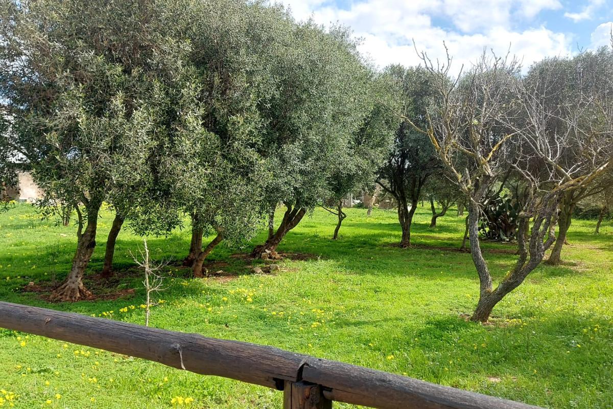 Porto Torres – Via Pertini - Trilocale con balcone vista parco, posto auto e cantina
