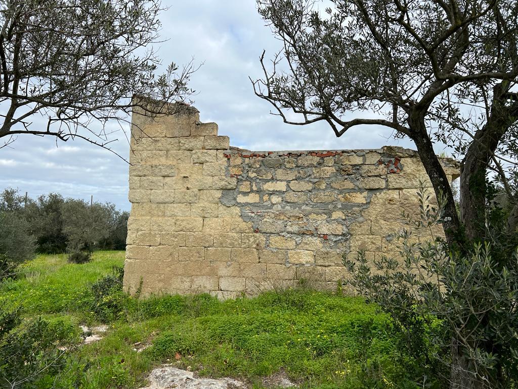 Sassari La Landrigga oliveto con casa rurale