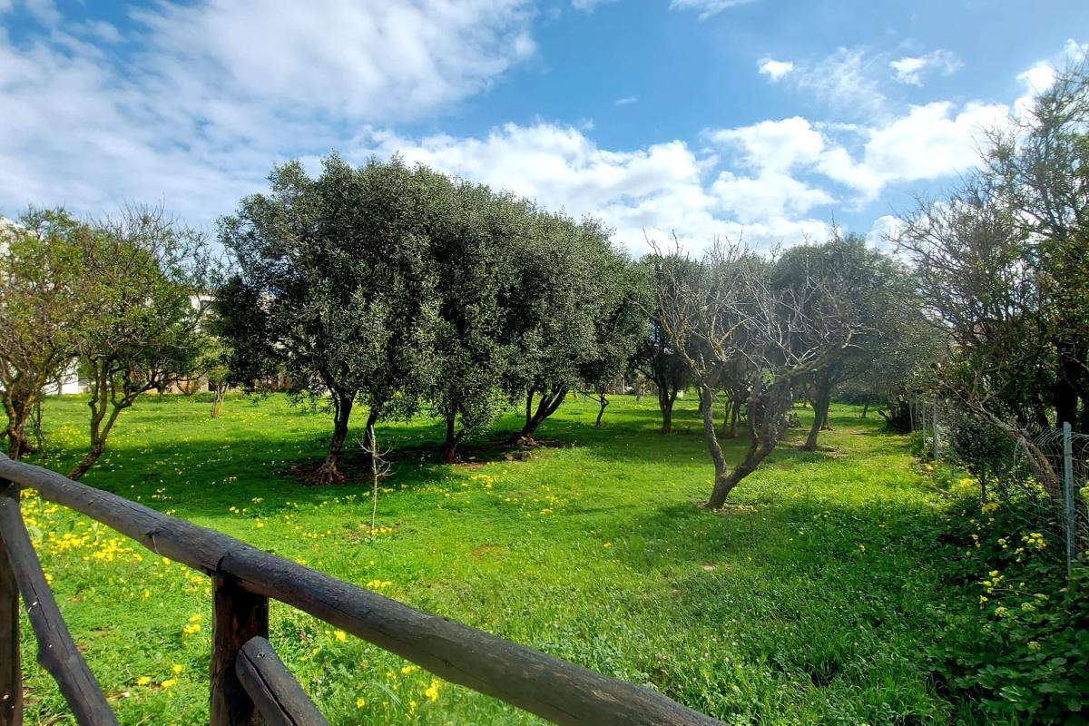 Porto Torres – Via Pertini - Trilocale con balcone vista parco, posto auto e cantina