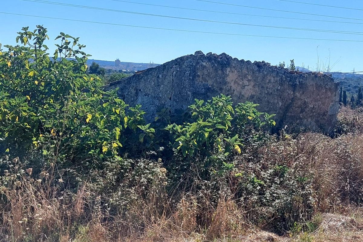 Sassari Terreno con fabbricato rurale in vendita – Sassari, Loc. Caniga, Strada Vicinale Tropuilde Sassari Terreno con fabbricato rurale in vendita – Sassari, Loc. Caniga, Strada Vicinale Tropuilde