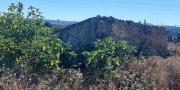 Sassari Terreno con fabbricato rurale in vendita – Sassari, Loc. Caniga, Strada Vicinale Tropuilde
