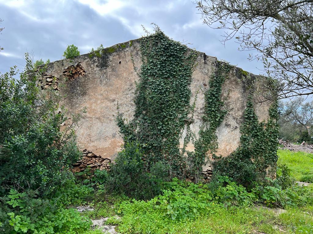 Sassari La Landrigga oliveto con casa rurale