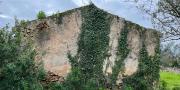 Sassari La Landrigga oliveto con casa rurale