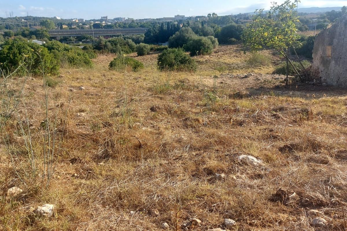 Sassari Terreno con fabbricato rurale in vendita – Sassari, Loc. Caniga, Strada Vicinale Tropuilde Sassari Terreno con fabbricato rurale in vendita – Sassari, Loc. Caniga, Strada Vicinale Tropuilde