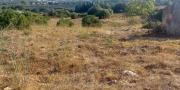 Sassari Terreno con fabbricato rurale in vendita – Sassari, Loc. Caniga, Strada Vicinale Tropuilde