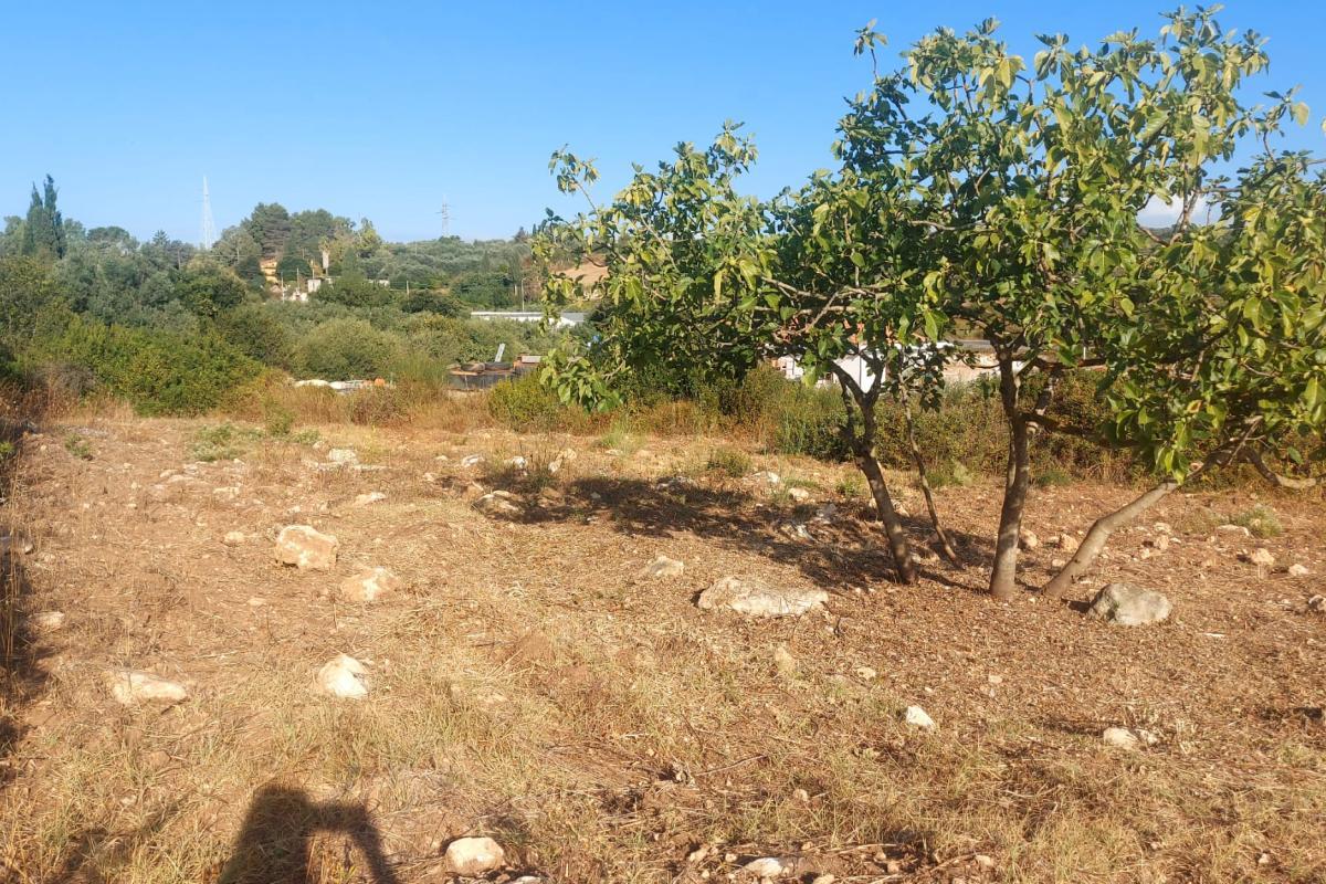 Sassari Terreno con fabbricato rurale in vendita – Sassari, Loc. Caniga, Strada Vicinale Tropuilde Sassari Terreno con fabbricato rurale in vendita – Sassari, Loc. Caniga, Strada Vicinale Tropuilde