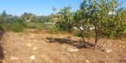 Sassari Terreno con fabbricato rurale in vendita – Sassari, Loc. Caniga, Strada Vicinale Tropuilde