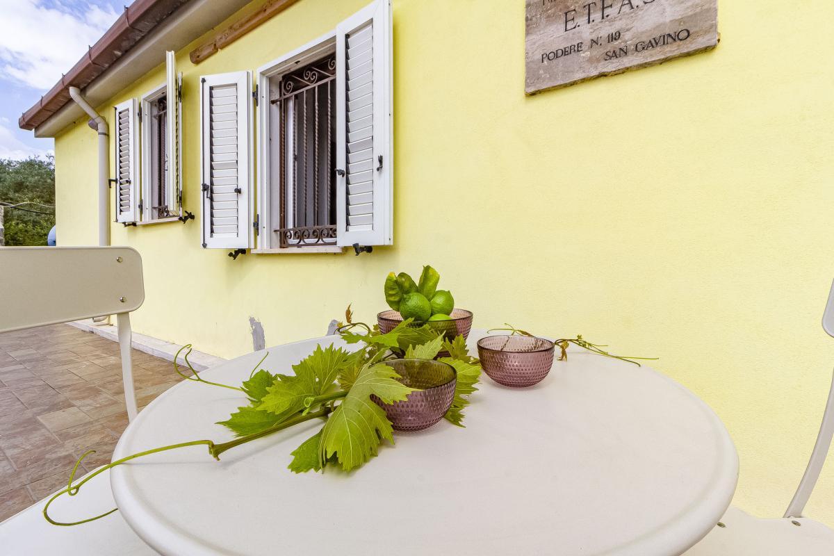 Sassari Loc. Pian de Sorres  podere con fabbricati e oltre 6 ettari di terreno coltivato