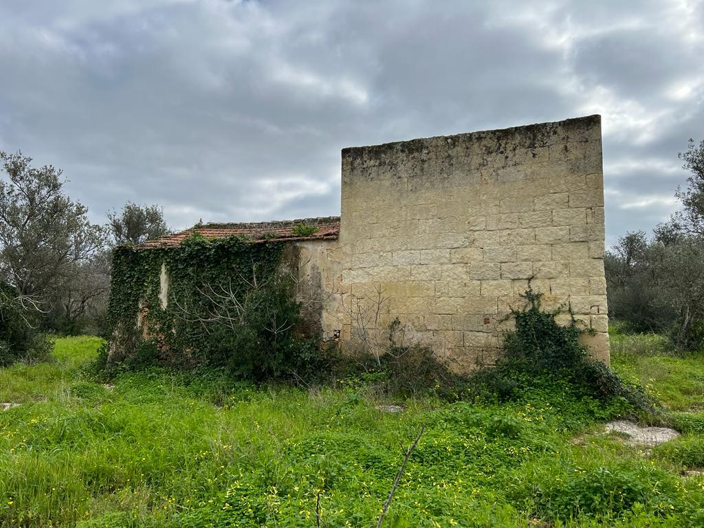 Sassari La Landrigga oliveto con casa rurale