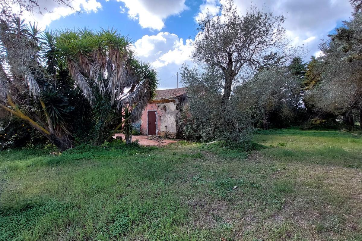 Sassari Bancali terreno 3 ettari + casa indipendente  da ristrutturare mq 63  e  3 ettari di oliveto