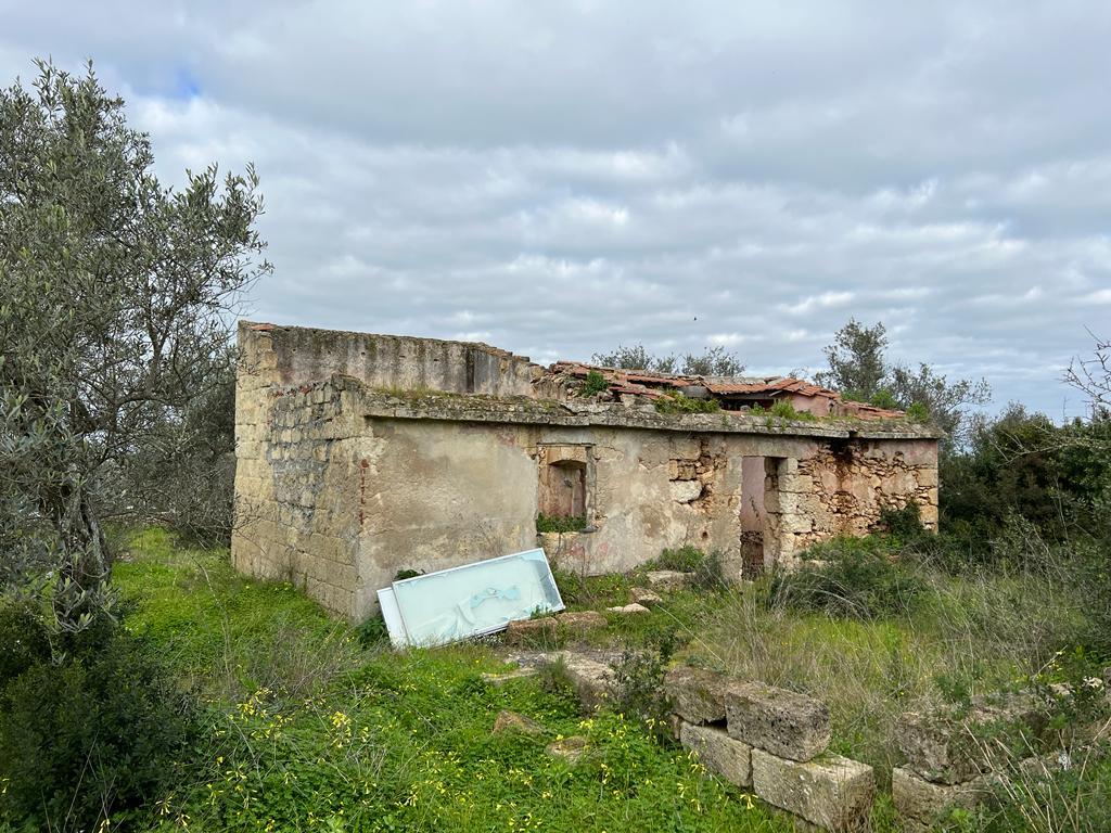 Sassari La Landrigga oliveto con casa rurale