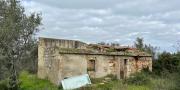 Sassari La Landrigga oliveto con casa rurale